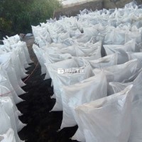Cần Anh Em Chịu Khó Cày Cuốc, Kiếm Tiền Công Việc Xúc Phân Gà  