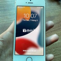 iPhone 5SE MVT Pin Mới Thay - Máy Ổn Định, Sim Sóng Tốt