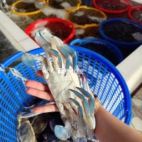 Ghẹ Biển 70-80% - Ghẹ Nhập Trực Từ Ghe Biển  