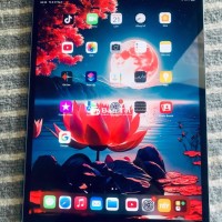 iPad Pro 10.5 inch 4G Full Zin - Pin Khỏe, Đẹp Ken, Cần Bán Gấp  