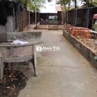 BÁN GẤP 706M2 ĐẤT MẶT TIỀN TL835, MỸ LỘC, CẦN GIUỘC - GIÁ 4 TỶ