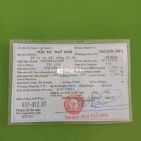 Bán xe Vinaxuki màu nhũ đồng  