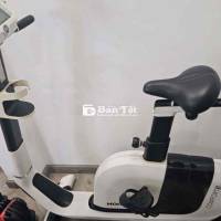 Xe đạp tập thể dục trong nhà Horizon Comfort 3