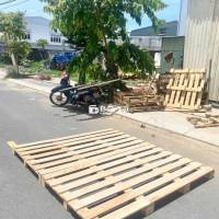 Pass Tấm Pallet 1m6x2m, Mới Dùng 2 Tuần  