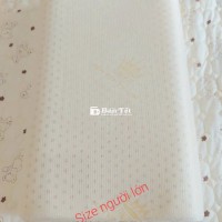 Gối Cao Su Thiên Nhiên Vạn Thành - Cao Cấp, Giá Tốt