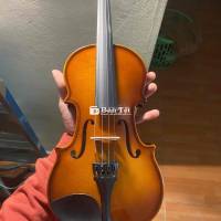 Pass Đàn Violin Kapok V182 1/4 mới nguyên  