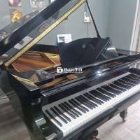 Piano cơ Grand Yamaha G5 Thanh lý  