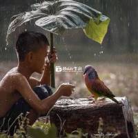 Cần Tìm Lụp TL Ạ  