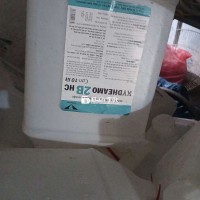Canh nhựa 10 lít giá rẻ như cho  