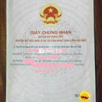 NHƯỢNG LẠI 7000M2 ĐẤT TAM ĐẢO - VĨNH PHÚC - GIÁ TỐT