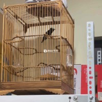 Thanh Lý Em 7M Bóng Bộ Đp Hoặc GL Qua Khuyên, E Nghỉ Chơi, Thanh Lý Cho AE Về Chơi   