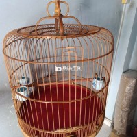 Lồng Chim 72 Nan Tre Già Hàng Đặt - Lồng Đặt 3 Vanh 72 Fom Lùn Siêu Đẹp - Cửa Dơi Dơi - Khóa Sư Tử - Chất Lượng Xuất Sắc - Nuôi Lửa VIP P Rồ  