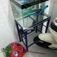 Combo Kệ và Hồ Cá Oxy, Đồ Lọc Sạch - Hồ Kính, Kệ Xanh Cao 1m2  