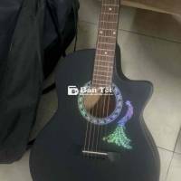 Đàn Guitar Mới Cần Pass Giá Rẻ