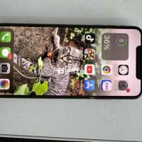 IP XS Max 64Gb