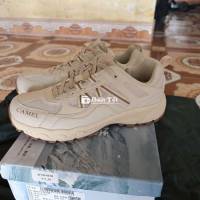 Giày Camel Mới Size 43 - Còn Nguyên Hộp, Đặt Nhầm Size  