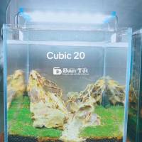 Combo Cubic 20 - Bể Nuôi Cá Trâm, Neon, Betta Vip Đẹp Mắt  