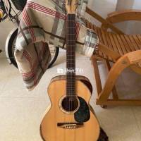 Đàn Guitar Acoustic Custom Có EQ Fishman