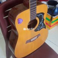 Guitar Acoustic Gỗ Điệp - Âm Thanh Tuyệt Vời - Giá Hời!