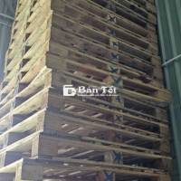 Pallet Mình Dư 50 Cái Pallet 110cm² Còn 90%  