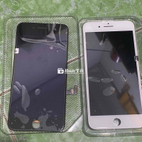 Màn hình iPhone 7 Plus mới 100%