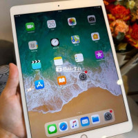 Ipad Pro 10.5 64G 4G Zin all máy đẹp, vân tay nhạy  