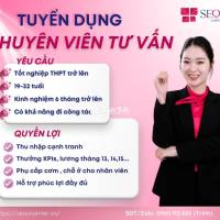 Chuyên viên tư vấn tại Tô Hiệu, Hải Phòng