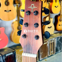 Bán Guitar Trần Acoustic TA 15, âm hay, giá tốt!  