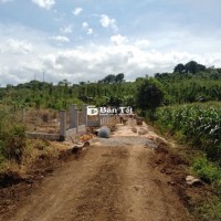 Bán 1028m² Đất Vườn Châu Đức, Vũng Tàu - QH Lên Thổ Cư, Giá 1.45 Tỷ