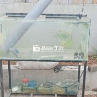 Dọn nhà cần thanh lý hoặc đổi hồ cá nhỏ hơn - Hồ 1m2, kính 10ly