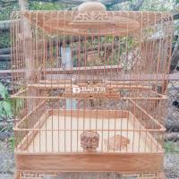 Lồng Tre Huế Còn Đẹp - Thanh Lý Giá Tốt  