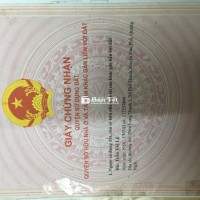 Bán Đất Full Thổ Cư Gốc 2MT 1/Nguyễn Kim Cương, Tân Thạnh Đông, Củ Chi  