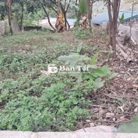 Bán đất Chính chủ phân lô khu Tập thể Quân đội