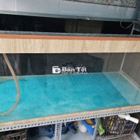Hồ thanh lý Hồ 1m2x50x50  