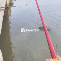Cần Bán Basen Đỏ Thắng Lợi 5h - Dư Cây Cần 4m5  