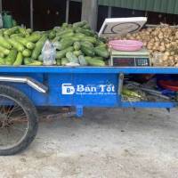 Cần bán xe lôi giá rẻ