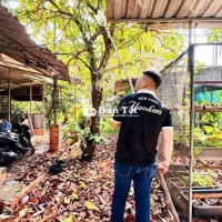 BÁN GẤP ĐẤT + NHÀ VƯỜN CỦ CHI - GIÁ TỐT!