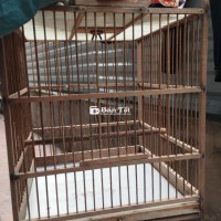Thanh Lý Đồ Dùng Cho Chim - Chất Lượng Tốt, Giá Hợp Lý  