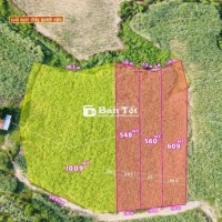Chỉ 145 triệu sở hữu 609m² đất Ninh Hòa - Khánh Hòa