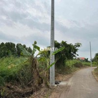 bán 3lô fo vừa ra lò tân Bửu Long An