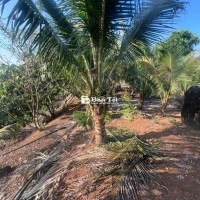 Siêu phẩm mặt tiền Tỉnh lộ 773 - Giá rẻ nhất khu vực Bảo Bình, Đồng Nai