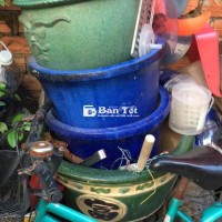 Bán hết 6 cái chậu như hình  