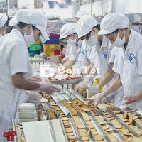 CÔNG NHÂN LÀM BÁNH - TUYỂN GẤP
