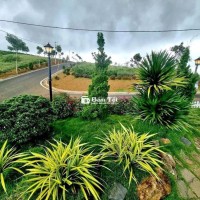 CẦN BÁN GẤP LÔ ĐẤT ĐẸP VIEW ĐỒI TRÀ TÂM CHÂU - BẢO LỘC