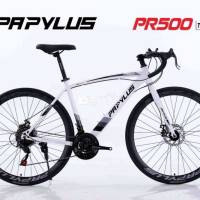 ## Xe thể thao đua PAPYLUS nhập khẩu - Sale giá sốc!