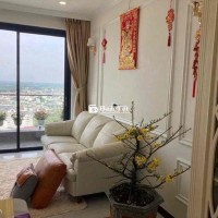 Cho Thuê Căn Hộ Cao Cấp C-SkyView - Thủ Dầu Một