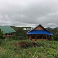 BÁN ĐẤT DI LINH, LÂM ĐỒNG - GIÁ HẾT SỨC HẤP DẪN!
