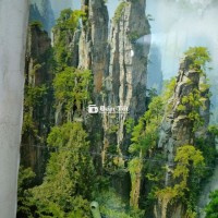 Nhà Đầu Tư Phố Vọng - Cơ Hội Vàng 8 Tỷ