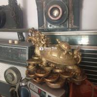 Rùa Phong Thủy - Vật Phẩm May Mắn, Trang Trí Độc Đáo  