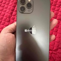 12 prm 256gb